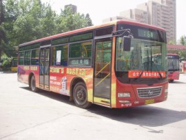 귢ʯ